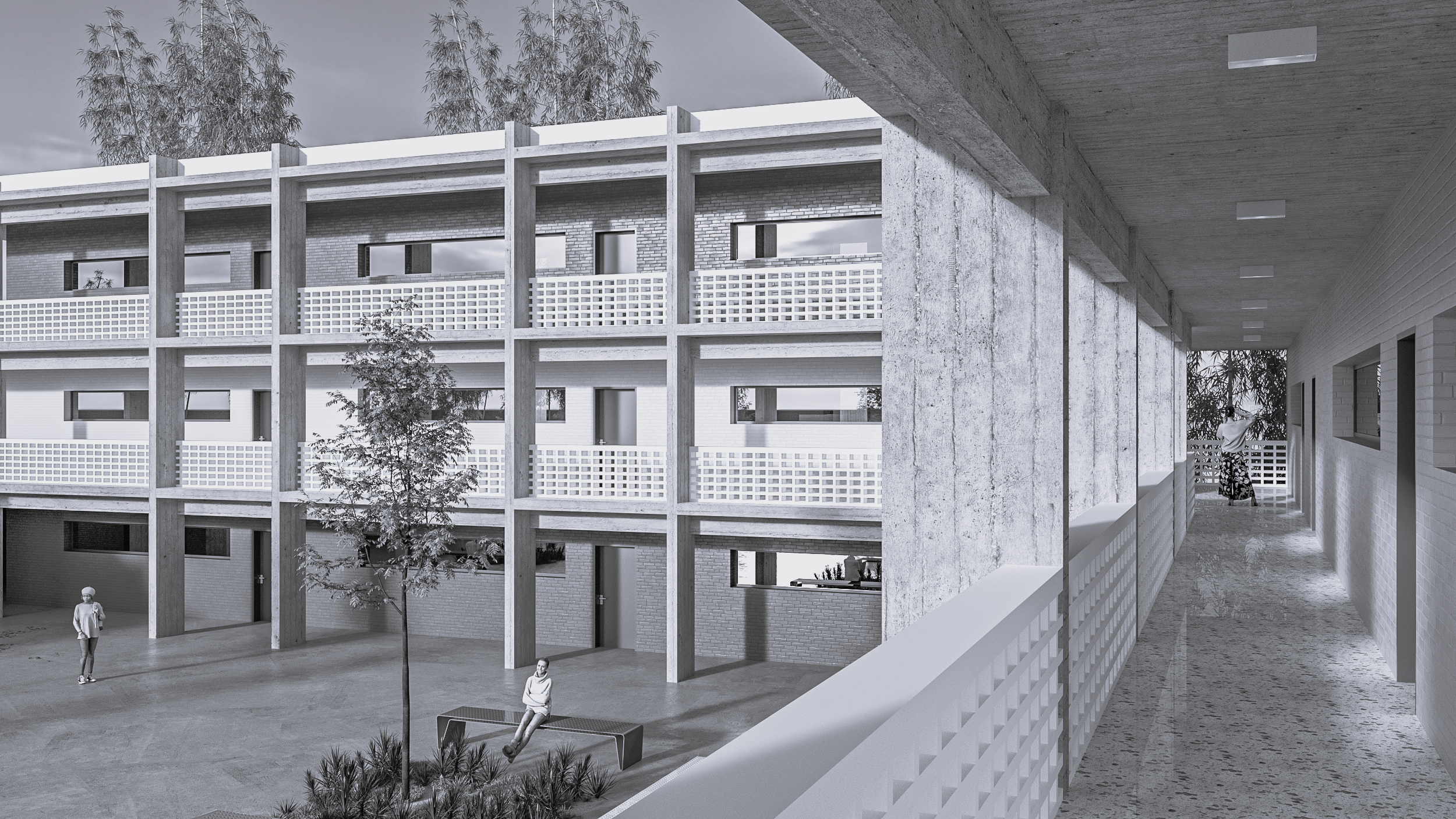 perspective hajeb 6 ps